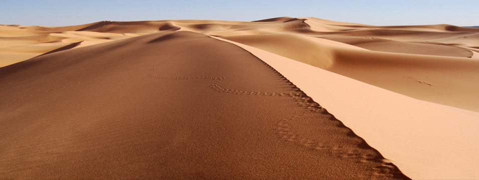 phpThumb_generated_thumbnailjpg